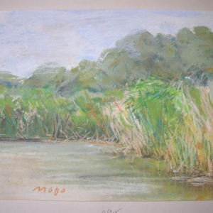 Pastel
