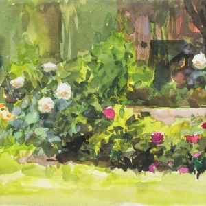 Watercolor