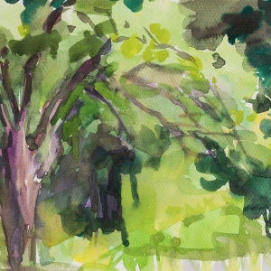 Watercolor