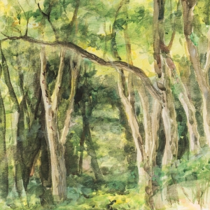 Watercolor