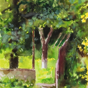 Watercolor