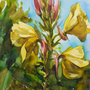 Watercolor