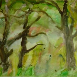 Watercolor