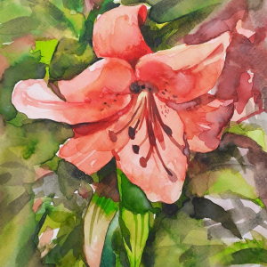 Watercolor