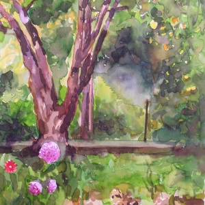 Watercolor