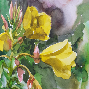 Watercolor